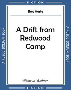 A Drift from Redwood Camp