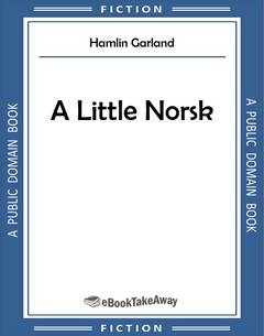 A Little Norsk