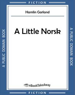 A Little Norsk