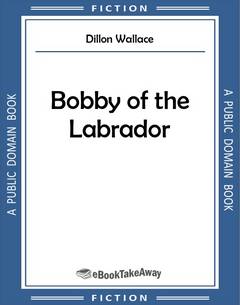 Bobby of the Labrador