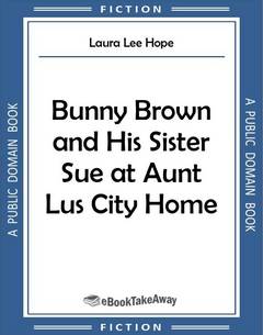 Bunny Brown and His Sister Sue at Aunt Lu's City Home