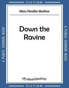 Down the Ravine