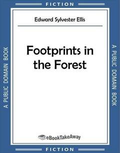 Footprints in the Forest