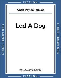 Lad A Dog