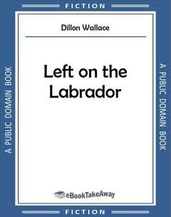Left on the Labrador