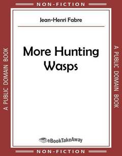 More Hunting Wasps