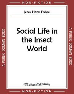 Social Life in the Insect World