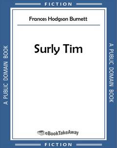 Surly Tim