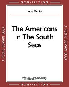 The Americans In The South Seas