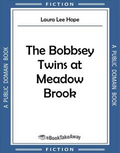 The Bobbsey Twins at Meadow Brook