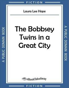The Bobbsey Twins in a Great City