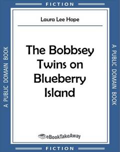 The Bobbsey Twins on Blueberry Island