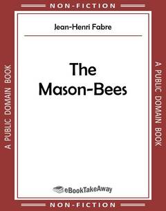 The Mason-Bees