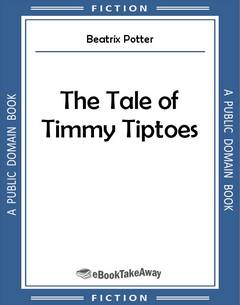 The Tale of Timmy Tiptoes