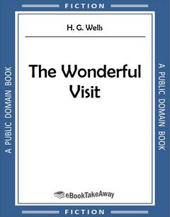 The Wonderful Visit