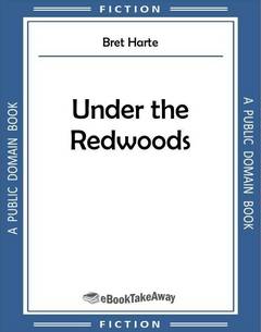 Under the Redwoods